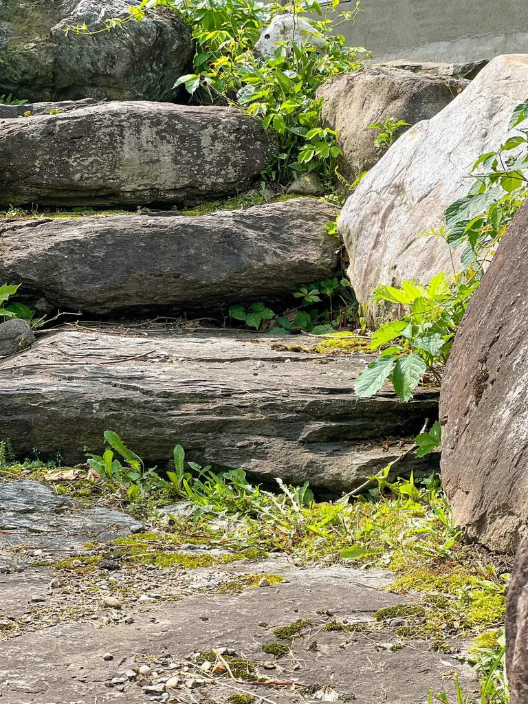 165 North Main Street Rochester VT 05767