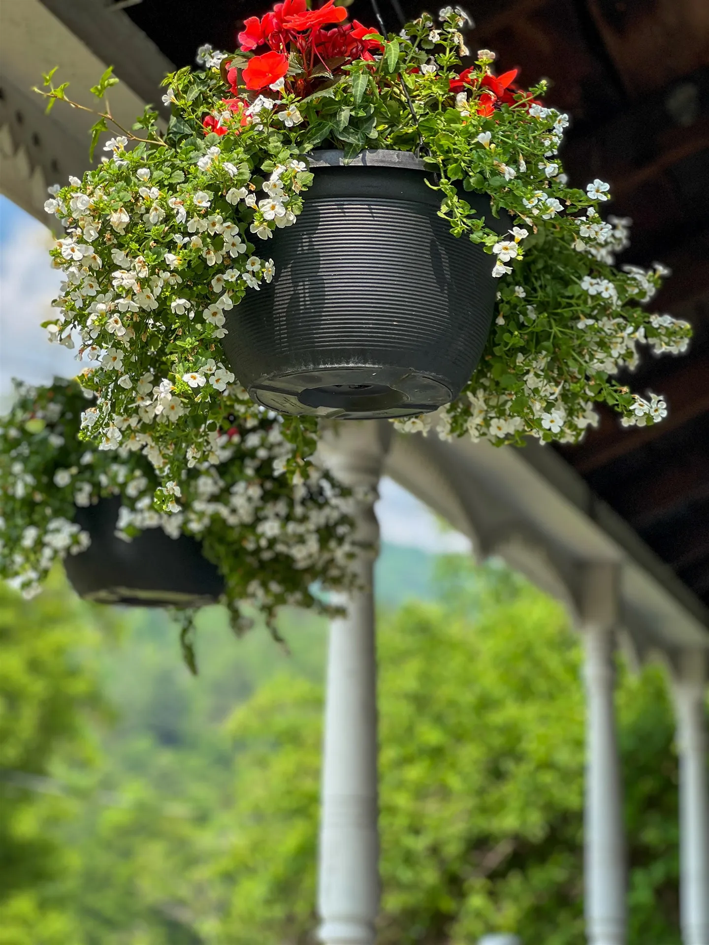 165 North Main Street Rochester VT 05767