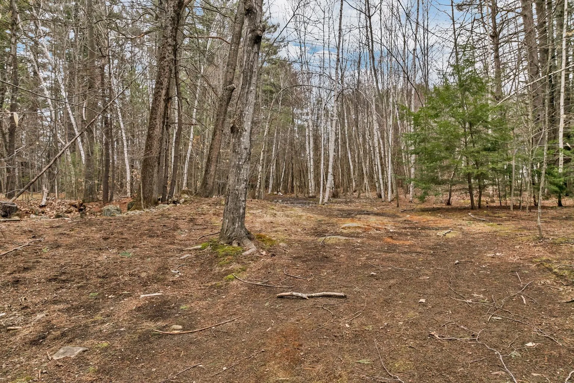 Orchard Lane Alton NH 03809