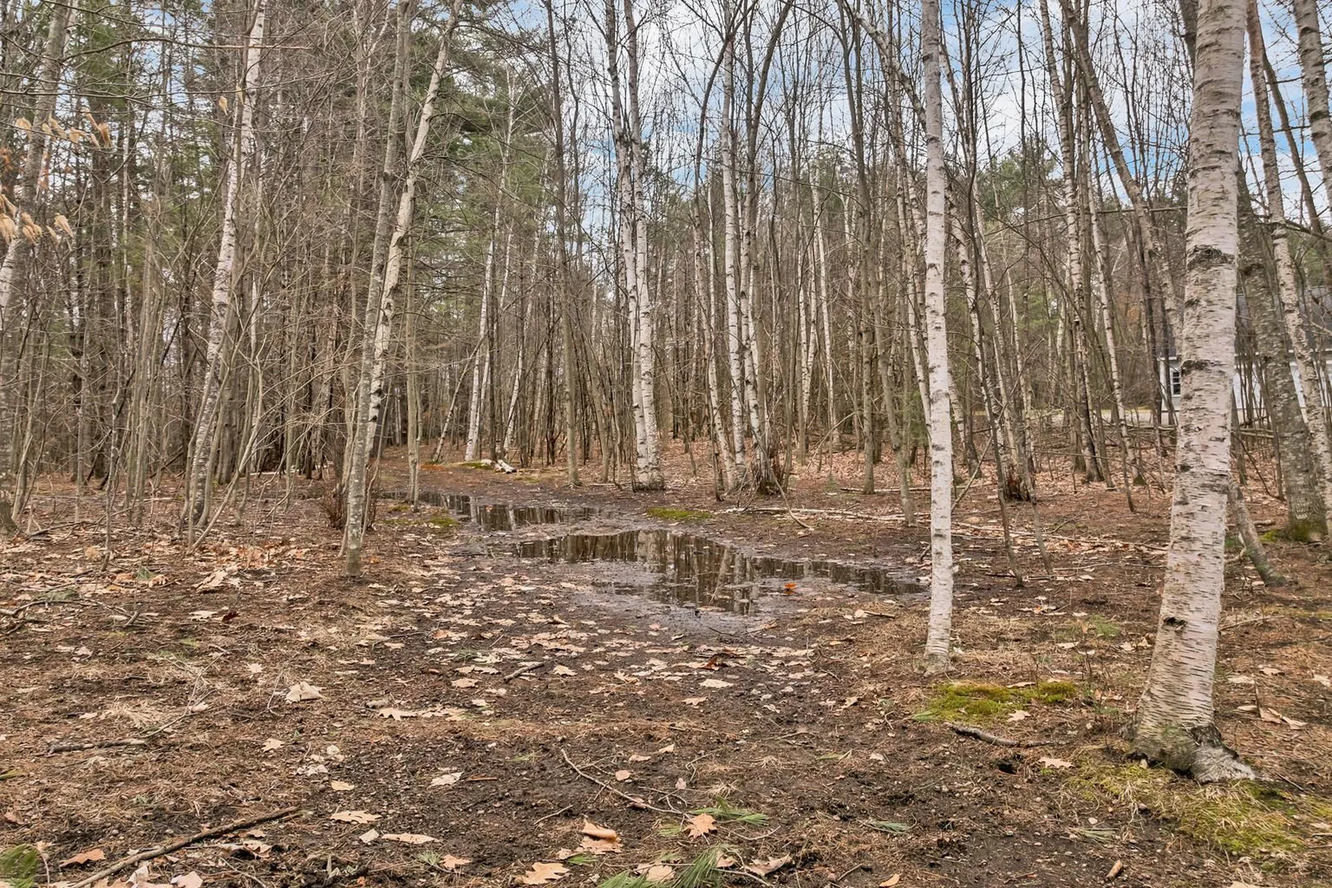 Orchard Lane Alton NH 03809