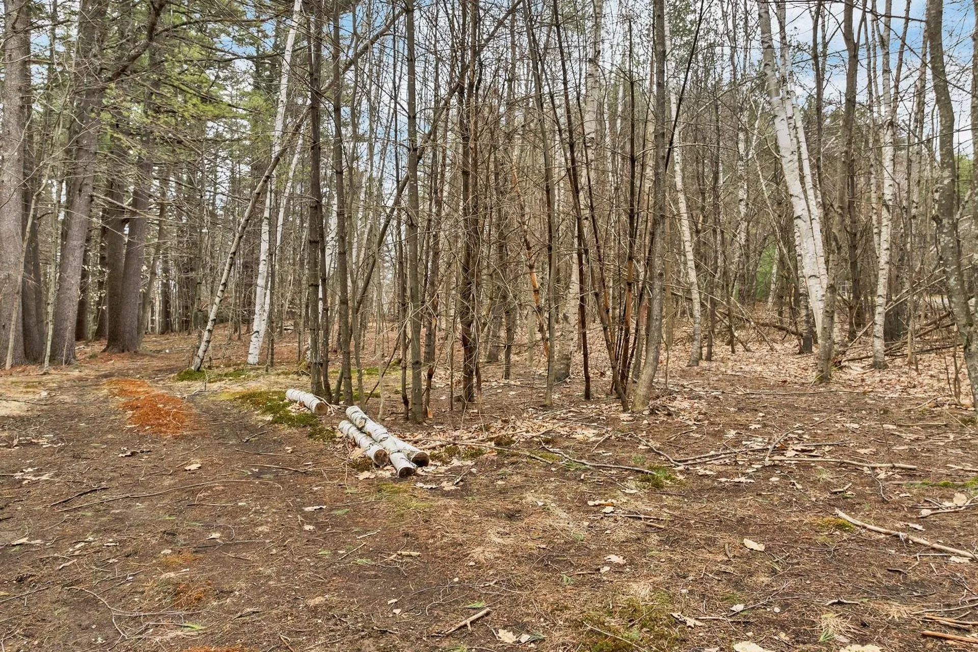 Orchard Lane Alton NH 03809