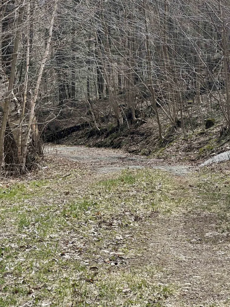 201 Pudvah Hill Road Bakersfield VT 05450