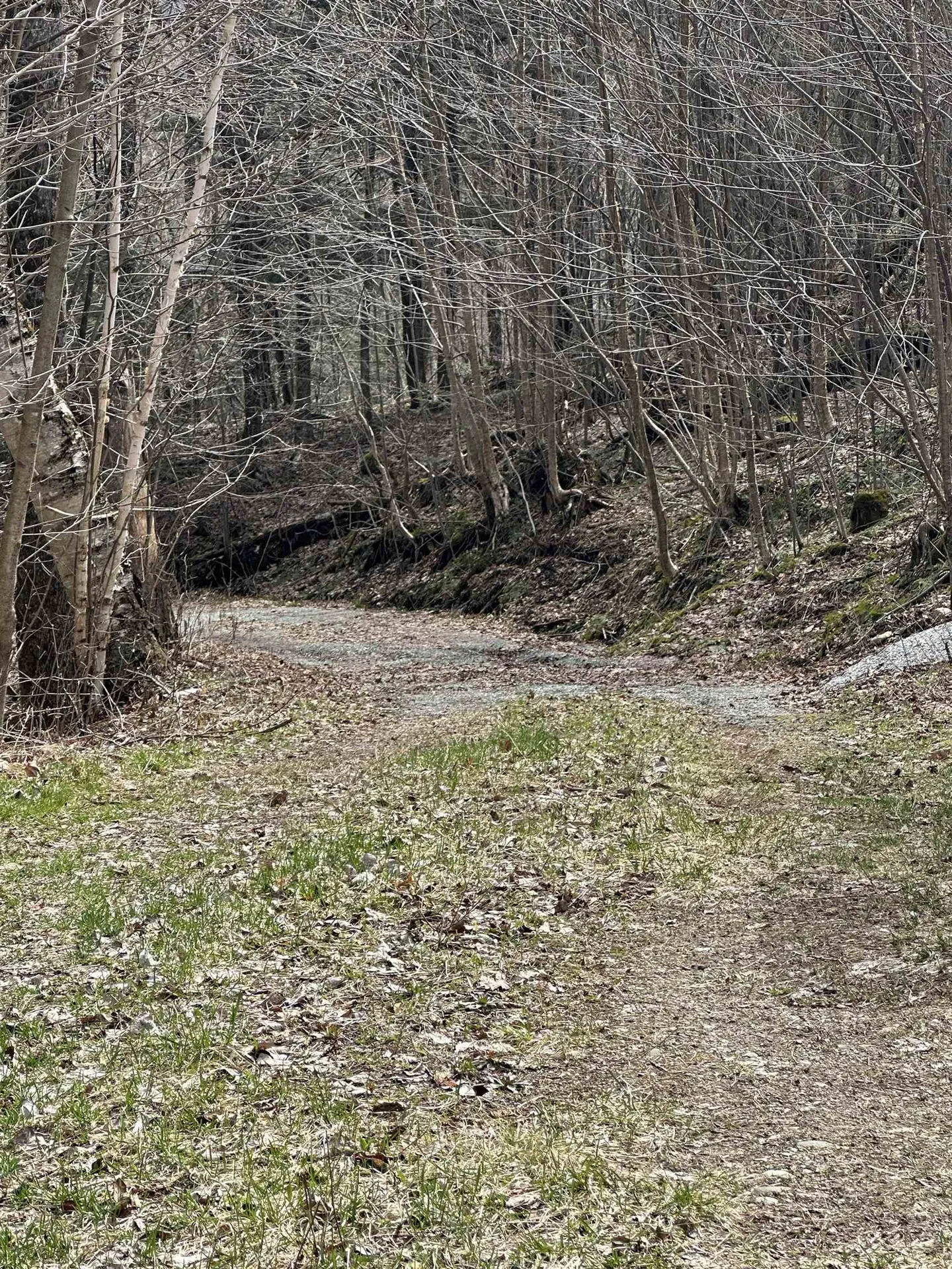 201 Pudvah Hill Road Bakersfield VT 05450