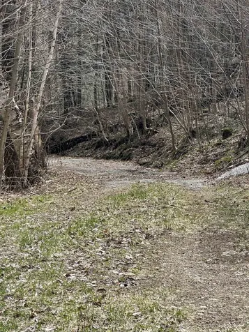 201 Pudvah Hill Road Bakersfield VT 05450