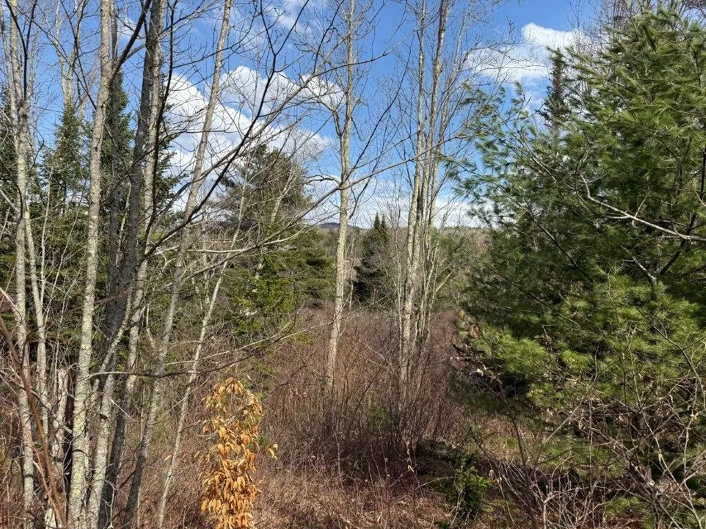 390 Nh Route 118 Canaan NH 03741