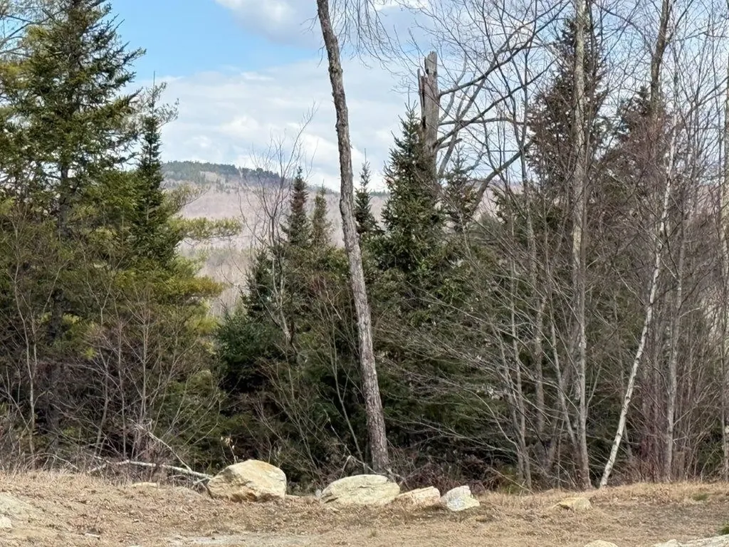 390 Nh Route 118 Canaan NH 03741