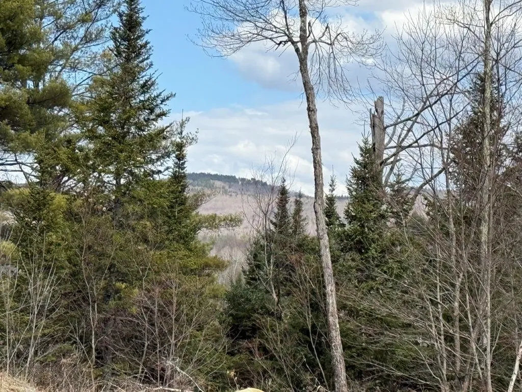 390 Nh Route 118 Canaan NH 03741