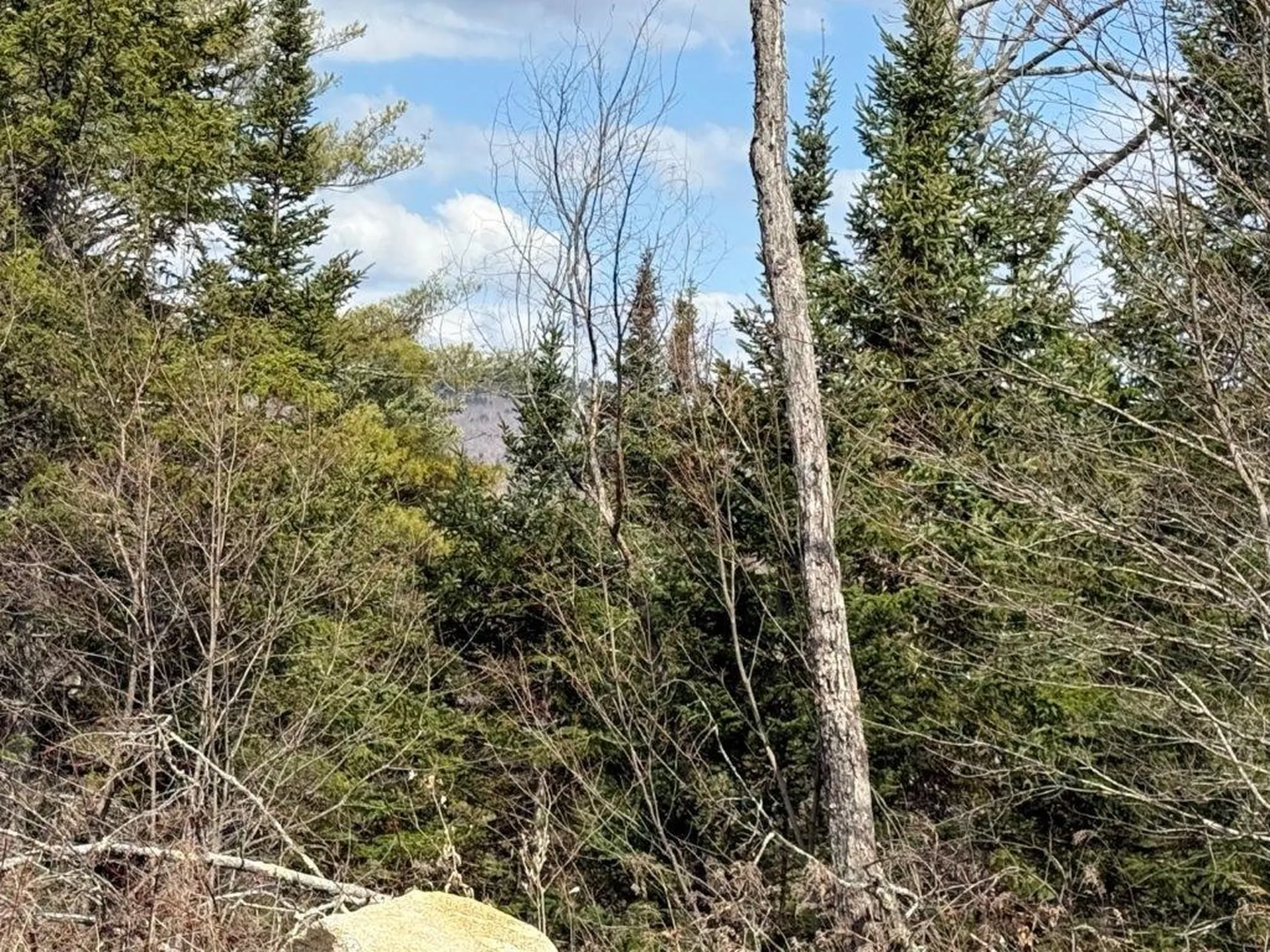 390 Nh Route 118 Canaan NH 03741