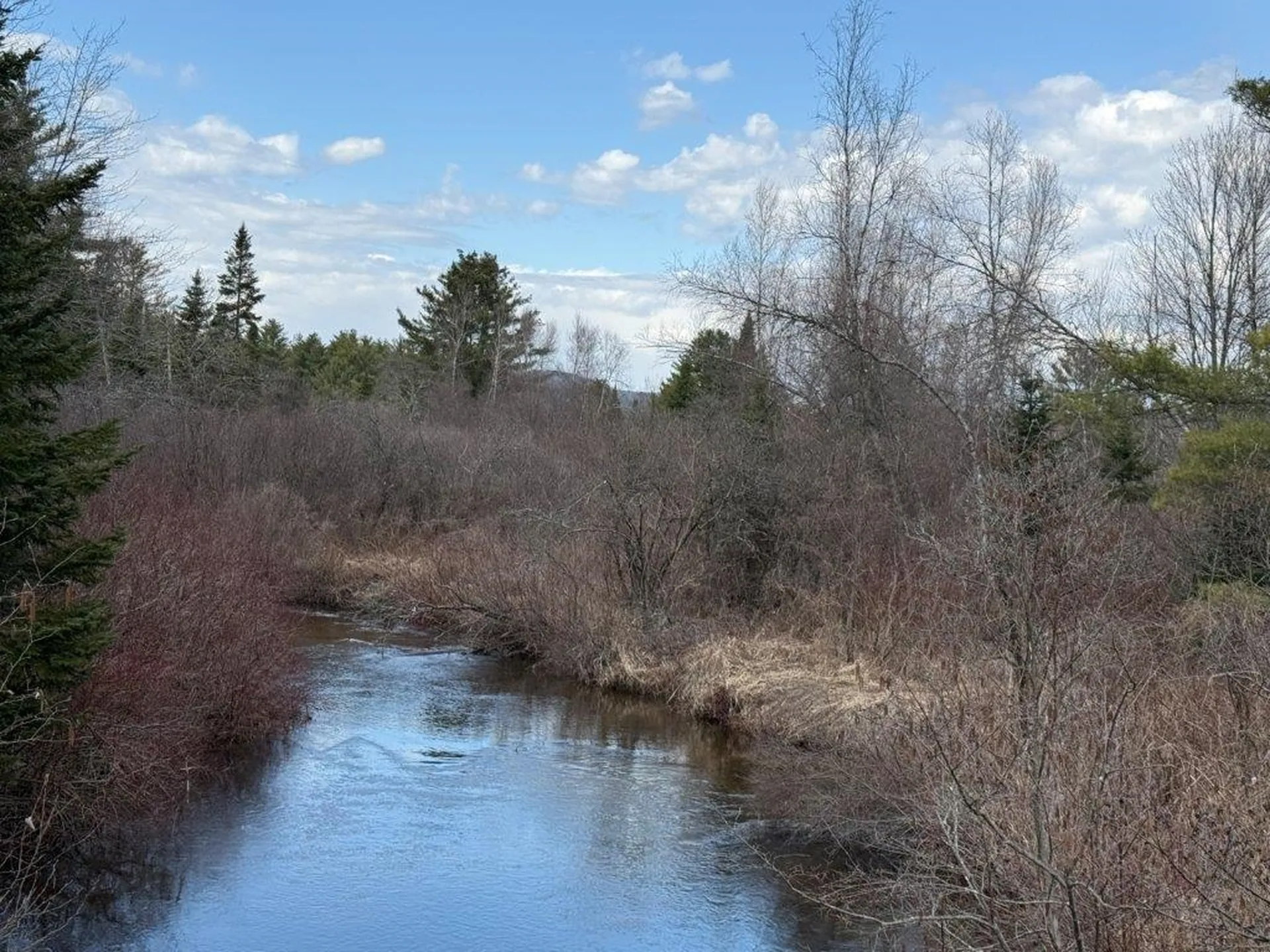 390 Nh Route 118 Canaan NH 03741