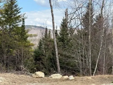 390 Nh Route 118 Canaan NH 03741