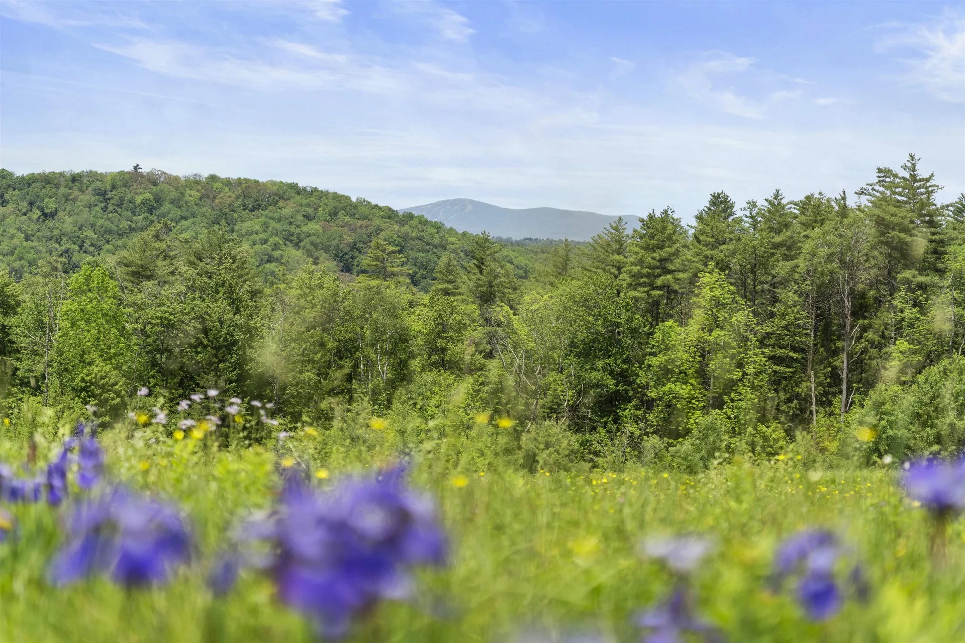 000 Under The Mountain Road Londonderry VT 05155