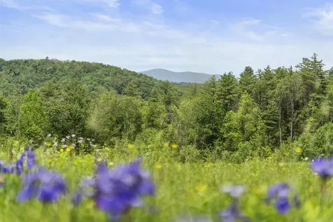 000 Under The Mountain Road Londonderry VT 05155