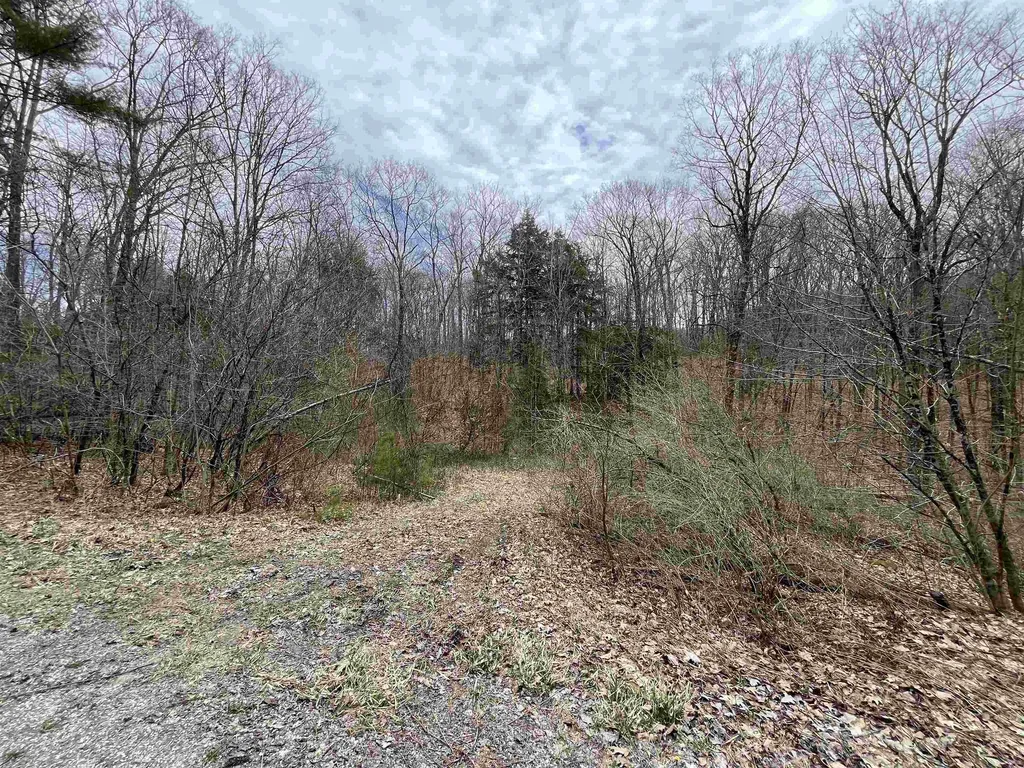 2699 Black Pond Road Hubbardton VT 05735