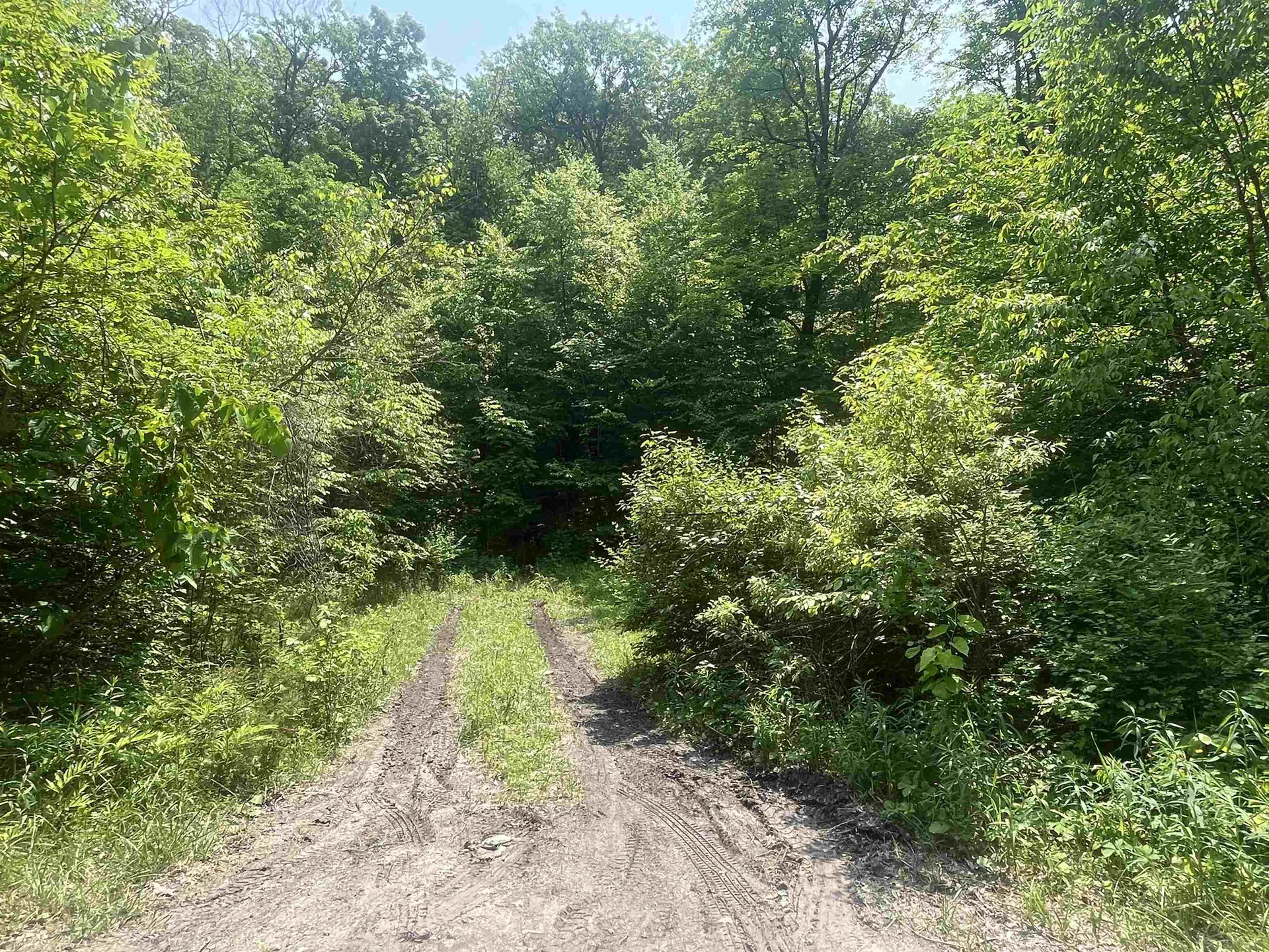 2699 Black Pond Road Hubbardton VT 05735