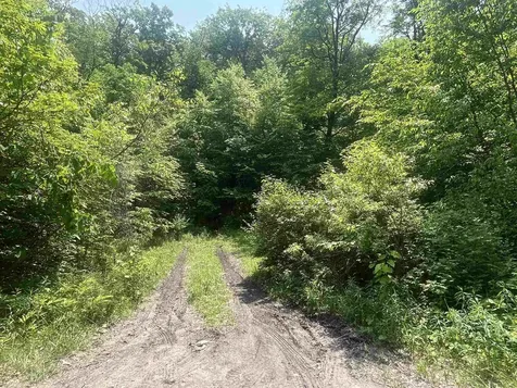 2699 Black Pond Road Hubbardton VT 05735