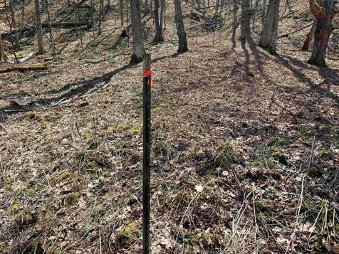 2699 Black Pond Road Hubbardton VT 05735