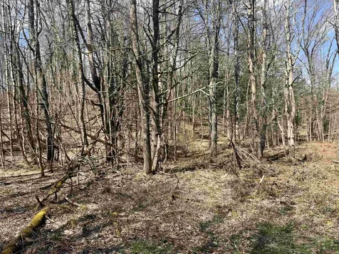 2699 Black Pond Road Hubbardton VT 05735