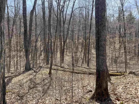 2699 Black Pond Road Hubbardton VT 05735