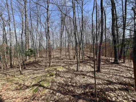 2699 Black Pond Road Hubbardton VT 05735