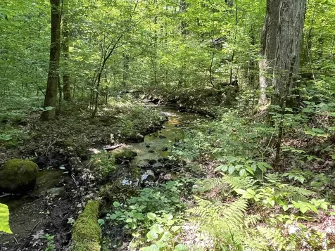 2699 Black Pond Road Hubbardton VT 05735