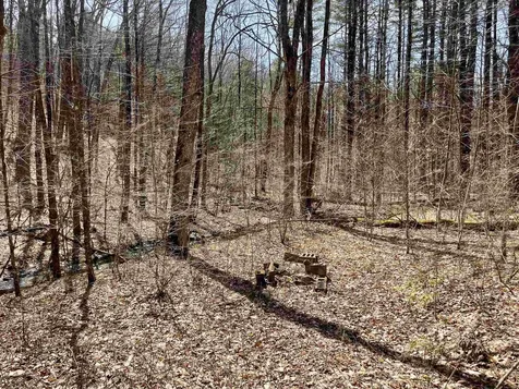2699 Black Pond Road Hubbardton VT 05735