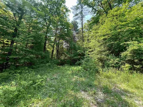 2699 Black Pond Road Hubbardton VT 05735