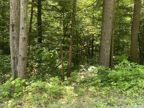 2699 Black Pond Road Hubbardton VT 05735