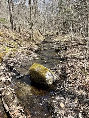 2699 Black Pond Road Hubbardton VT 05735