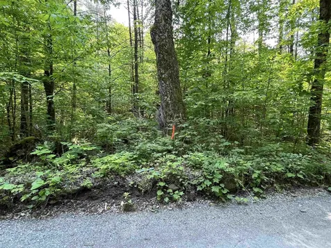 2699 Black Pond Road Hubbardton VT 05735