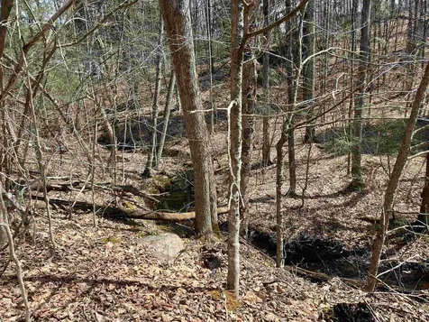 2699 Black Pond Road Hubbardton VT 05735