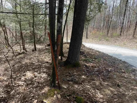 2699 Black Pond Road Hubbardton VT 05735