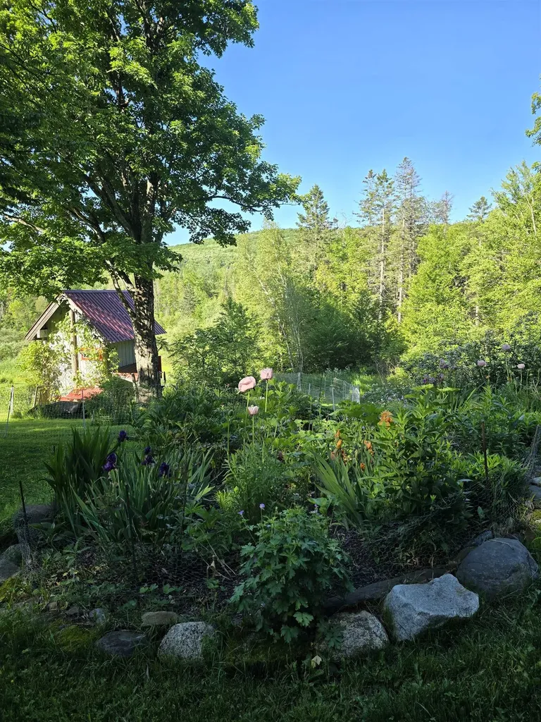 2343 Town Highway #8 Greensboro VT 05841