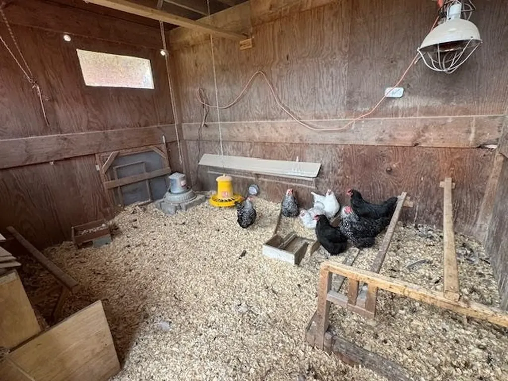 2343 Town Highway #8 Greensboro VT 05841