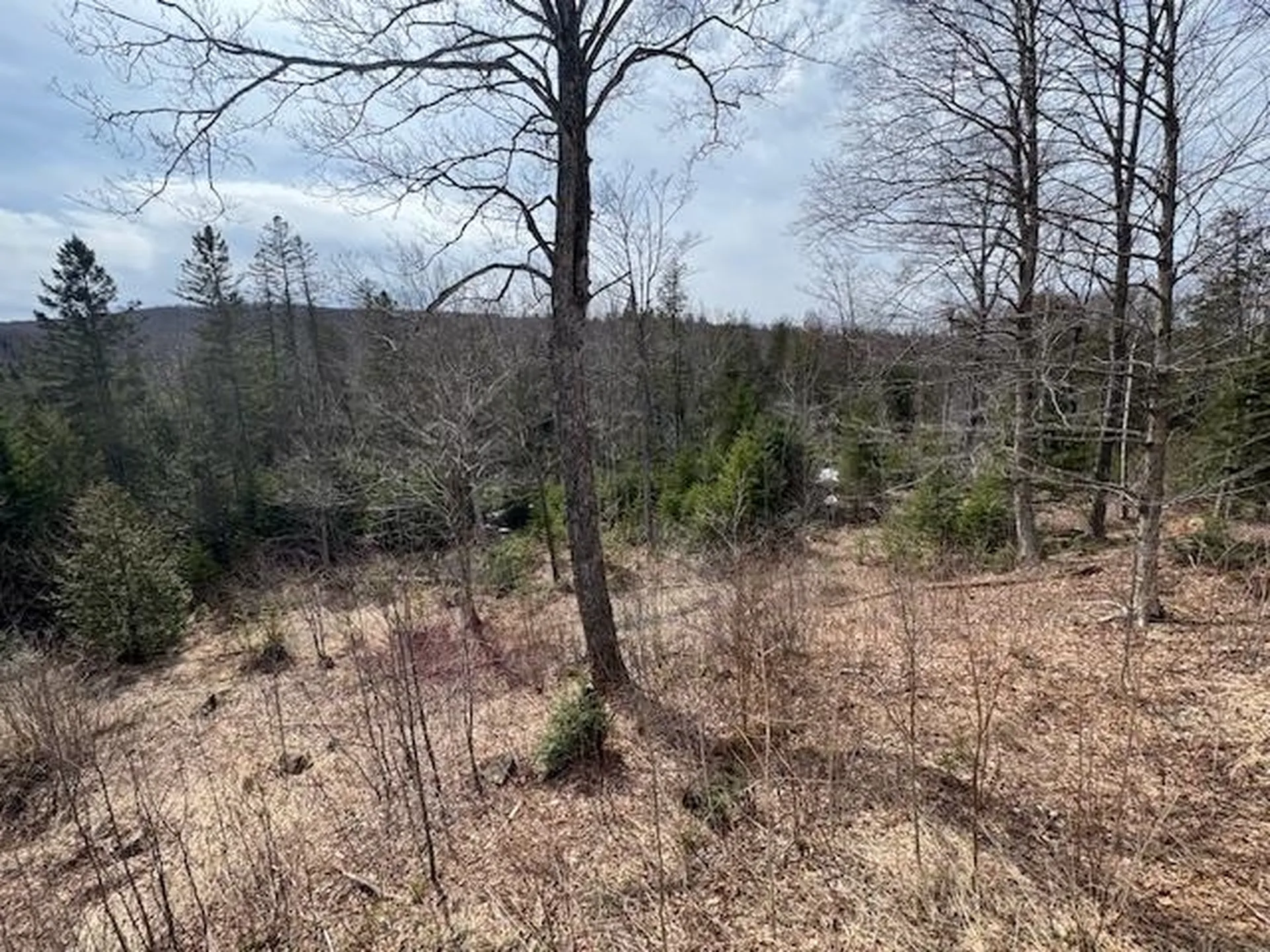 2343 Town Highway #8 Greensboro VT 05841