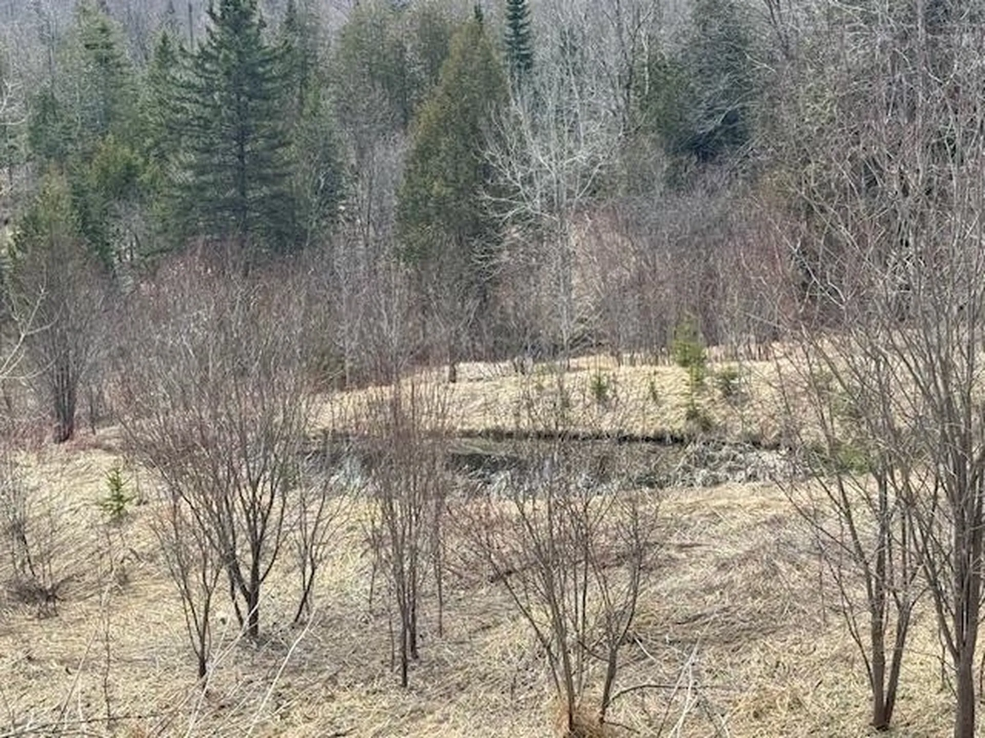 2343 Town Highway #8 Greensboro VT 05841