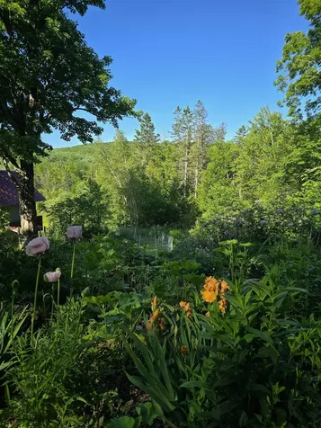 2343 Town Highway #8 Greensboro VT 05841