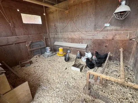 2343 Town Highway #8 Greensboro VT 05841