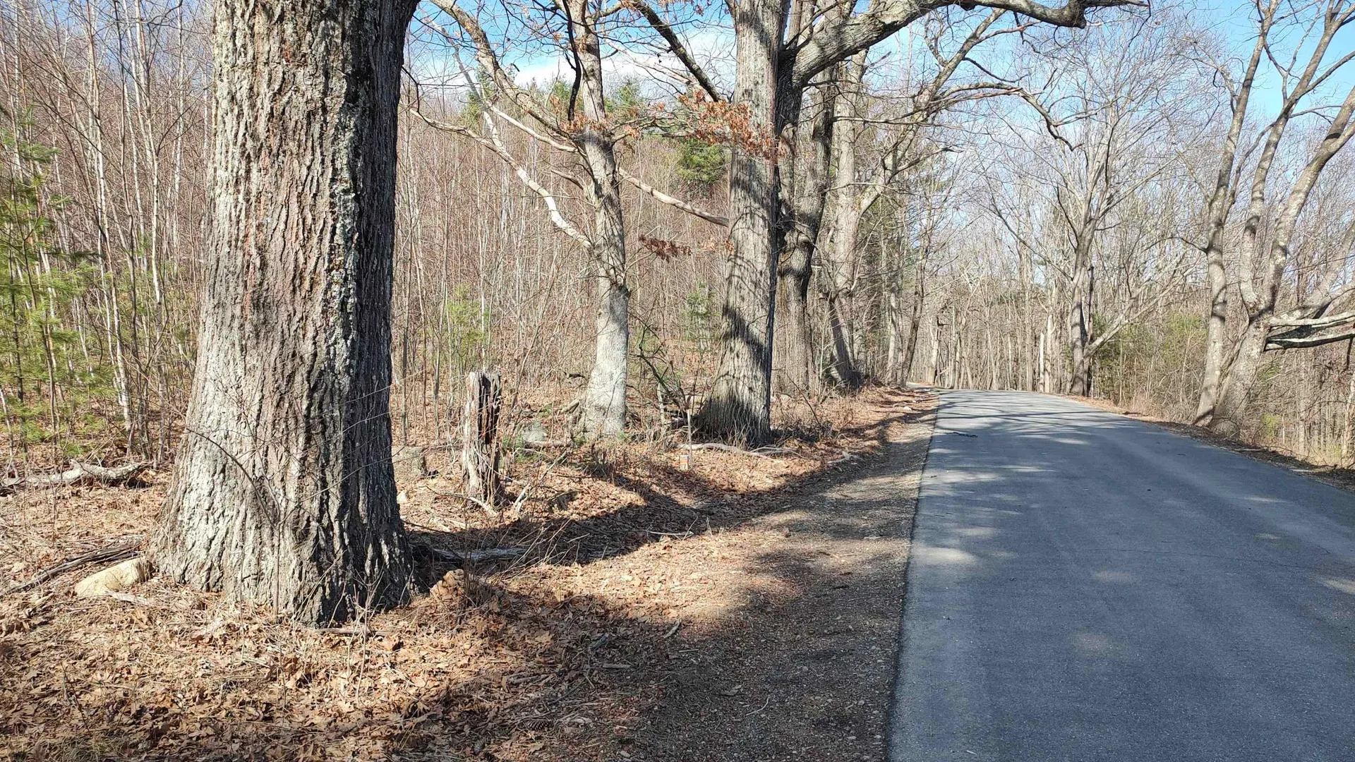 Lot 1-50-1 Colburn Road New Boston NH 03070