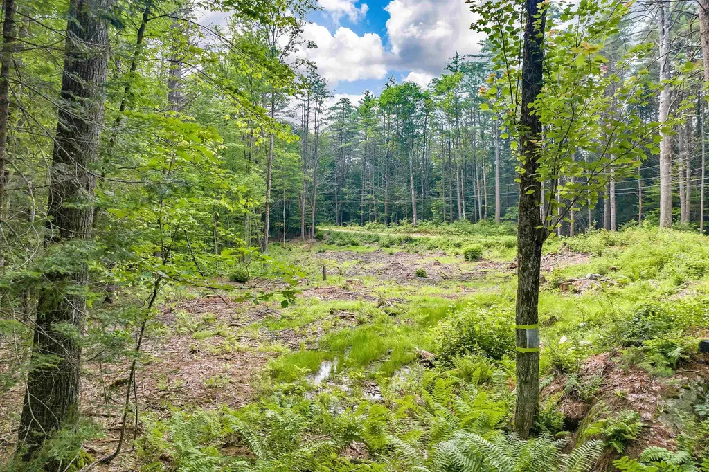 Smoke Rise Road New Hampton NH 03256