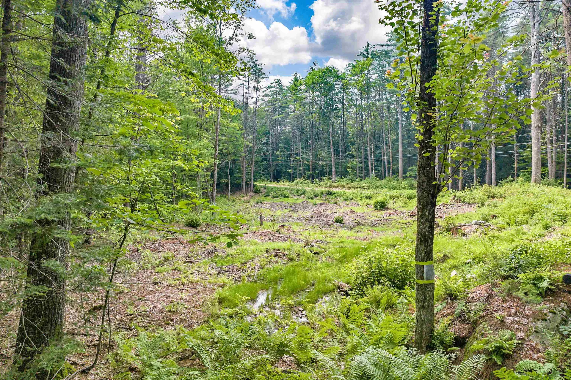 Smoke Rise Road New Hampton NH 03256