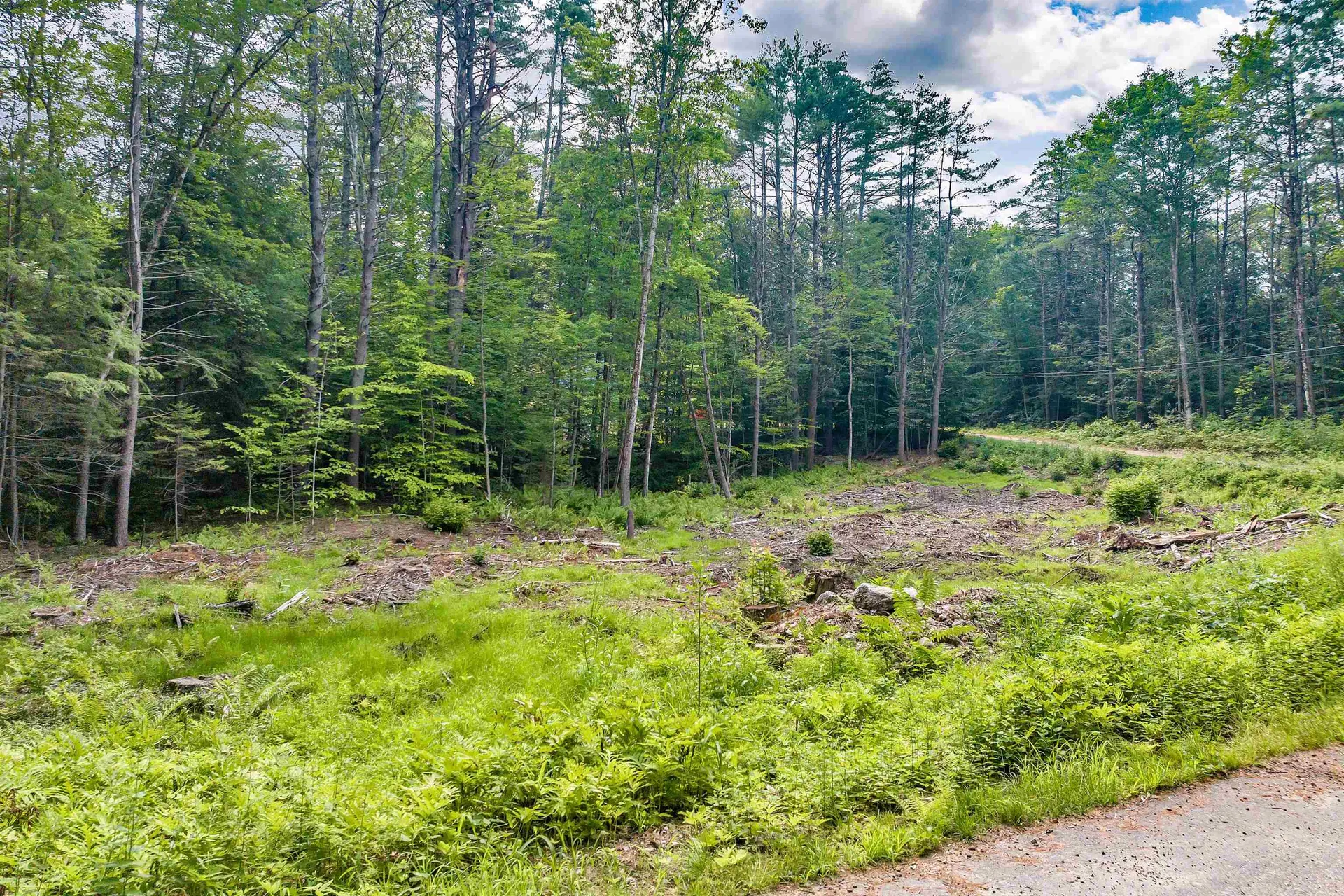 Smoke Rise Road New Hampton NH 03256