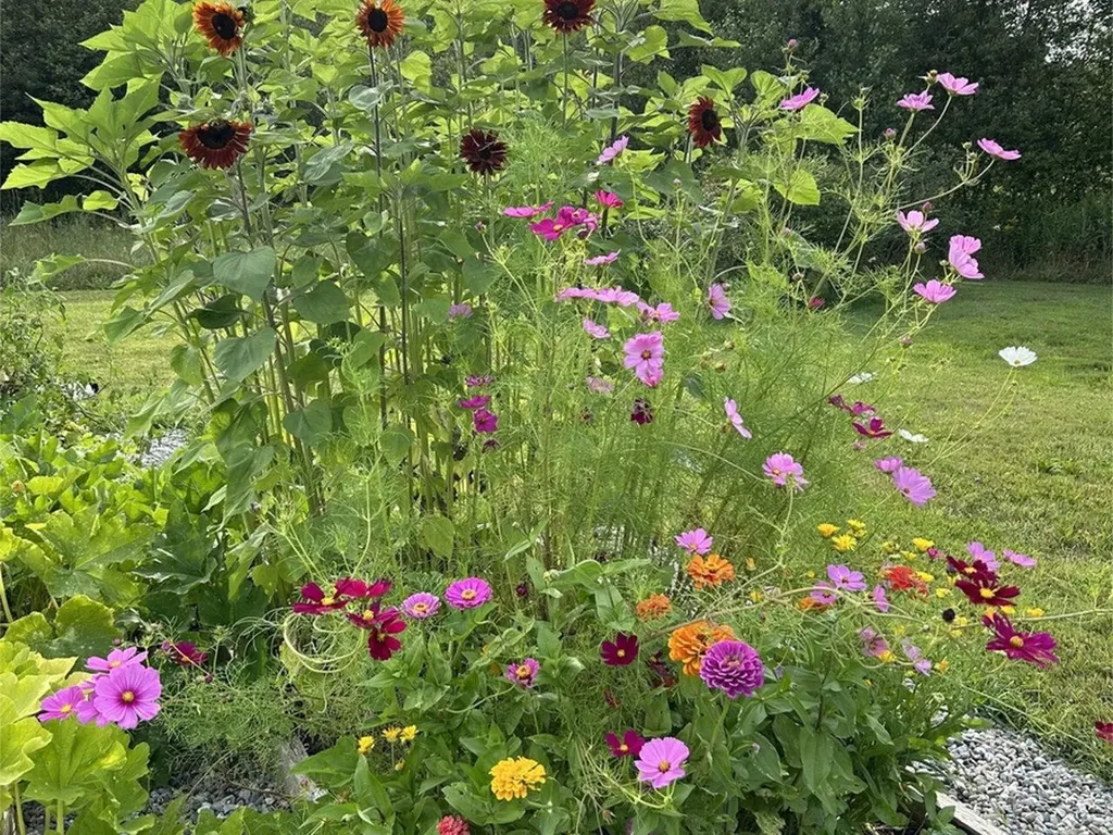 254 Mcnall Road Fairfax VT 05454