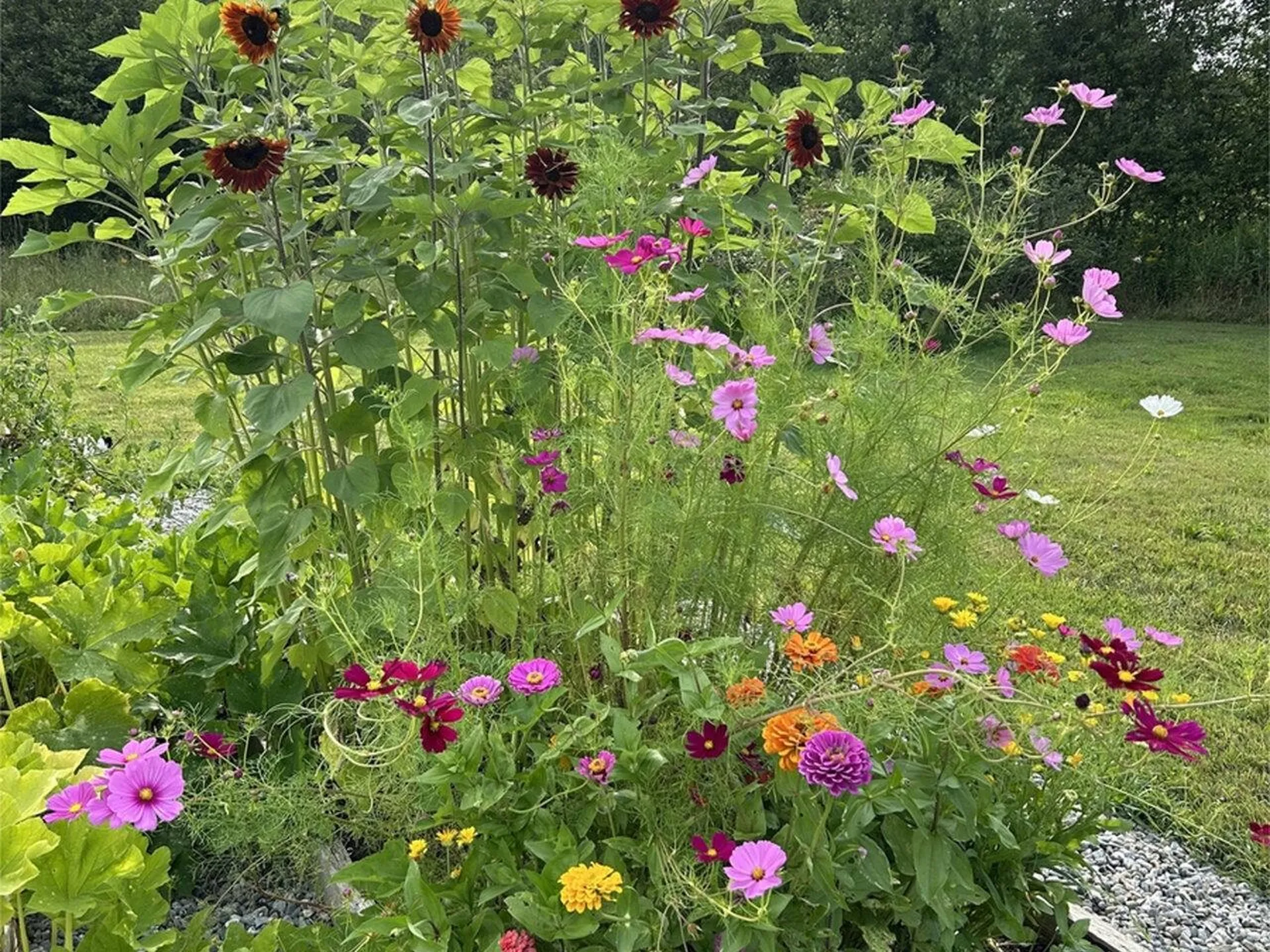 254 Mcnall Road Fairfax VT 05454