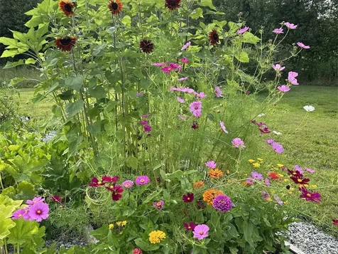 254 Mcnall Road Fairfax VT 05454