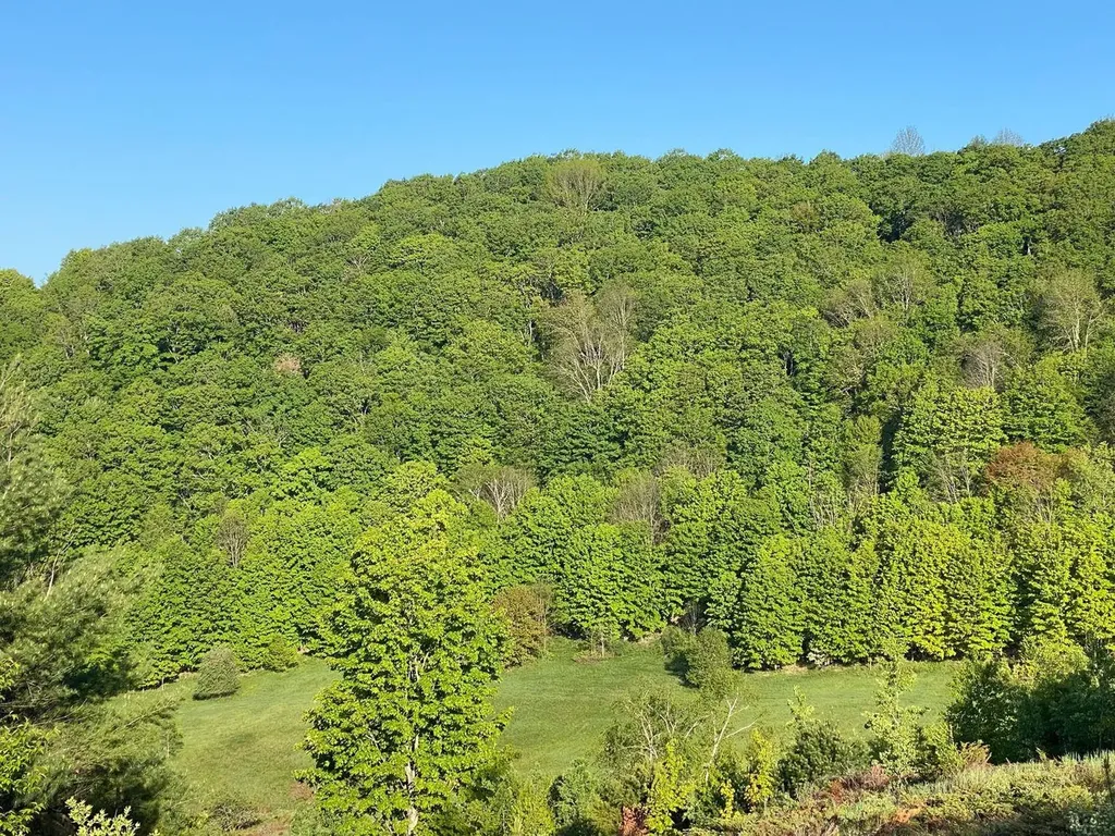 503 Vt Route 110 Tunbridge VT 05077