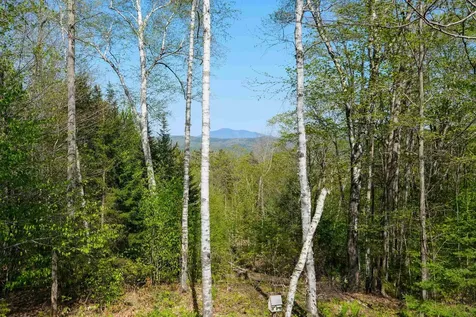 2 Macdonald Lane Ludlow VT 05149