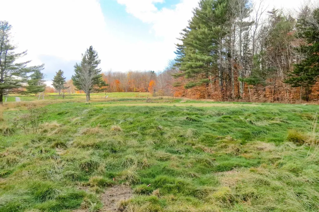 6802 Popple Dungeon Road Windham VT 05359