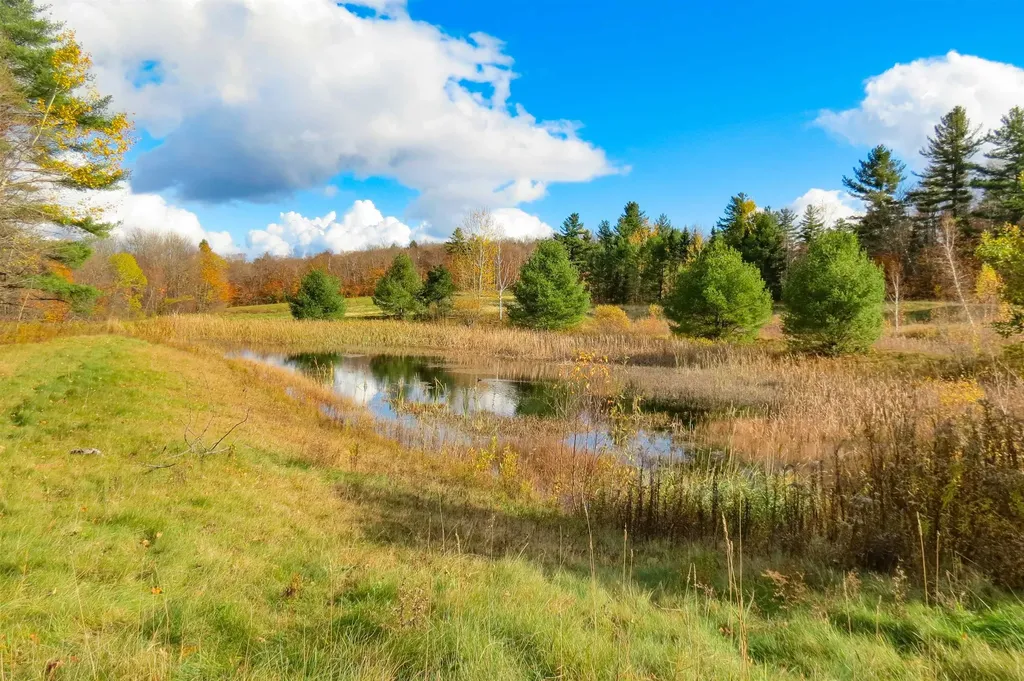 6802 Popple Dungeon Road Windham VT 05359