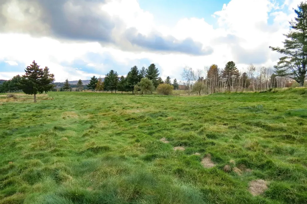 6802 Popple Dungeon Road Windham VT 05359