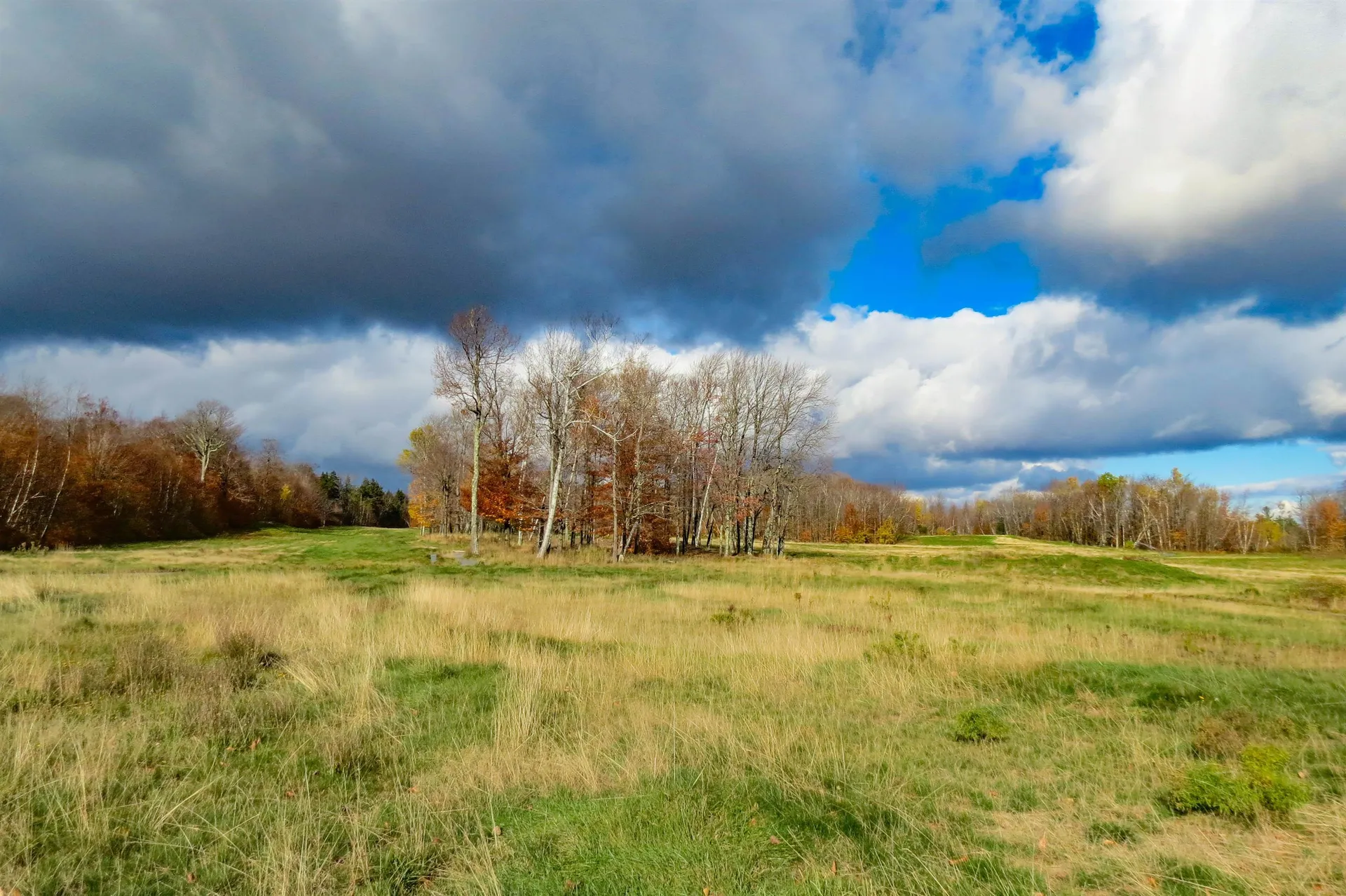 6802 Popple Dungeon Road Windham VT 05359